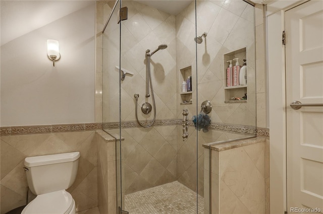 bathroom with toilet and a stall shower