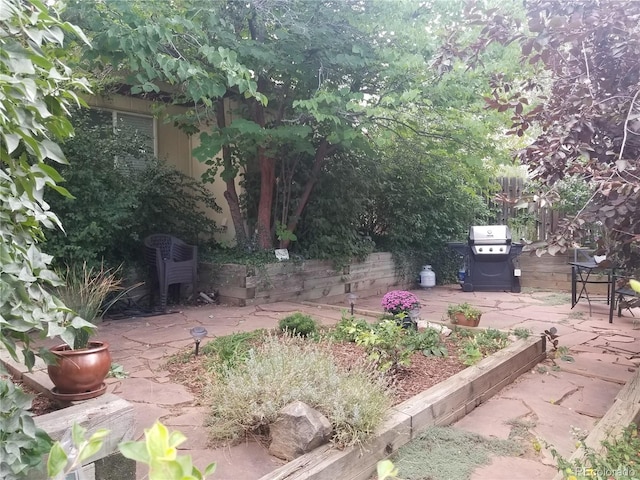 view of yard featuring fence and a patio area