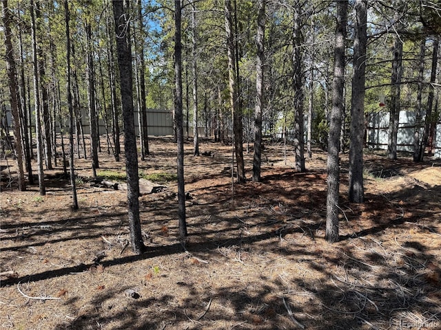 379 Spruce Dr, Leadville, CO 80461