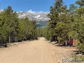 379 Spruce Dr, Leadville, CO 80461