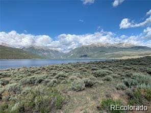 379 Spruce Dr, Leadville, CO 80461
