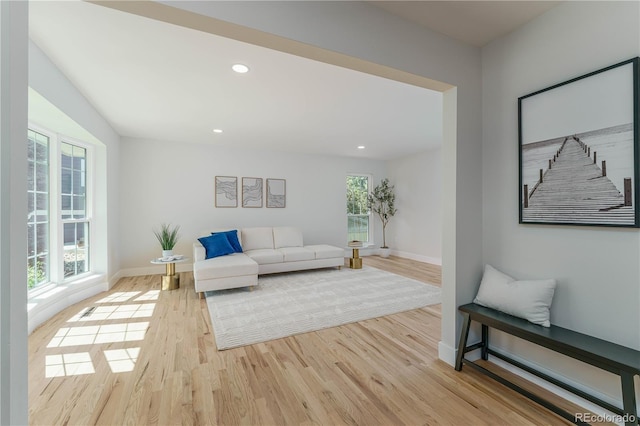 living room featuring light hardwood / wood-style flooring