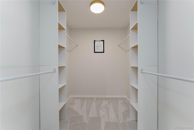 walk in closet featuring light colored carpet