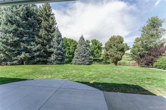 view of yard with a patio