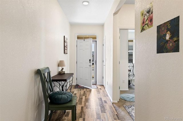 entrance foyer featuring baseboards and wood finished floors