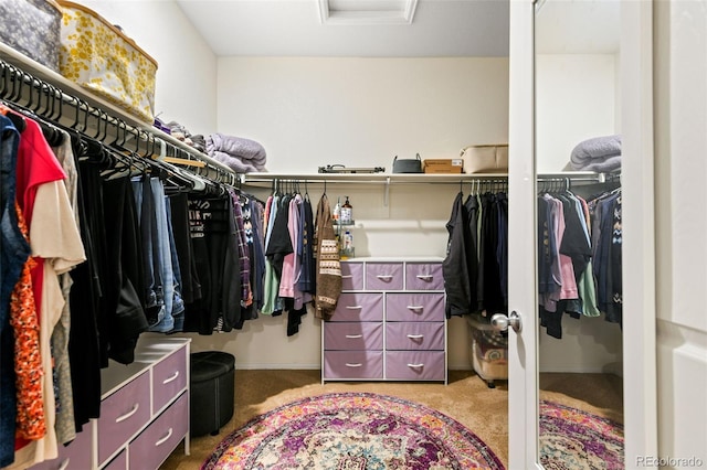 walk in closet featuring attic access and carpet flooring