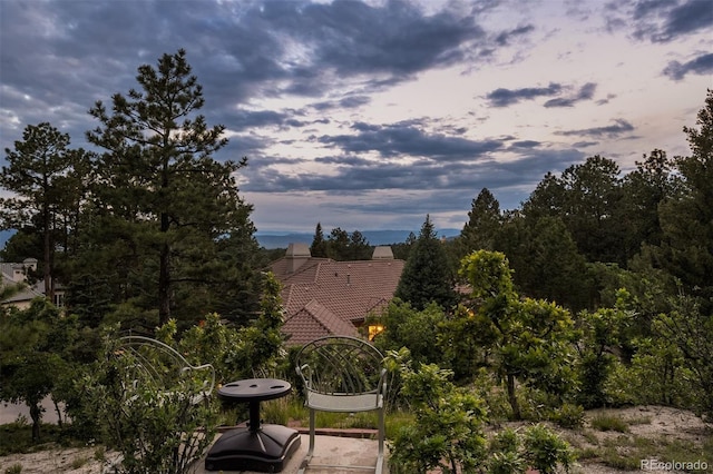 392 Starmine Pl, Castle Rock, CO 80108 - photo 17