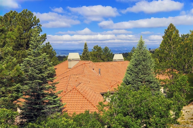 392 Starmine Pl, Castle Rock, CO 80108 - photo 18