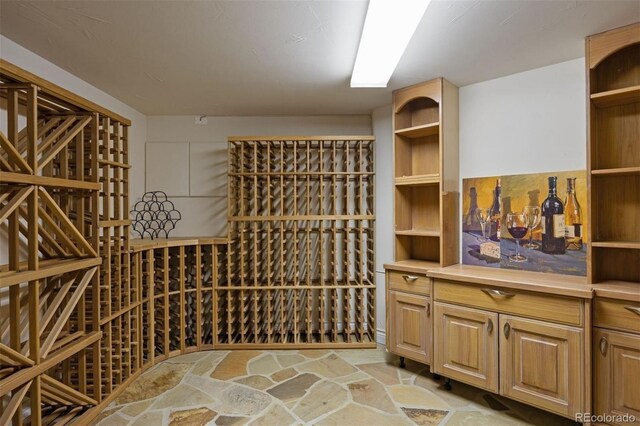 392 Starmine Pl, Castle Rock, CO 80108 - photo 34