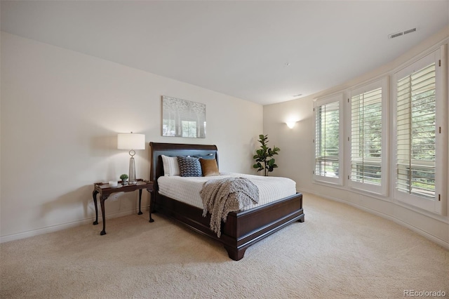 392 Starmine Pl, Castle Rock, CO 80108 - photo 36