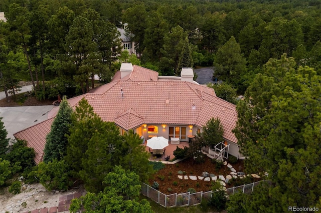 392 Starmine Pl, Castle Rock, CO 80108 - photo 44