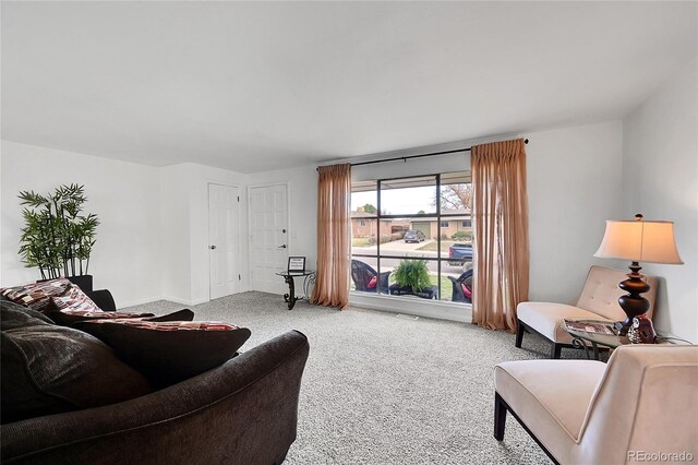7131 Clay St, Westminster, CO 80030 - view of carpeted living room