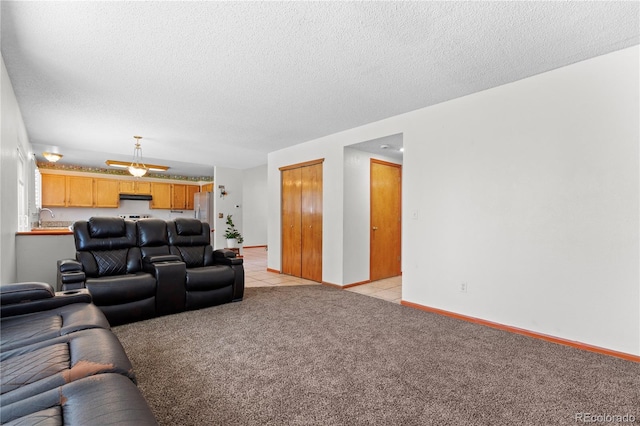 20410 Kelly Pl, Denver, CO 80249 - photo 10