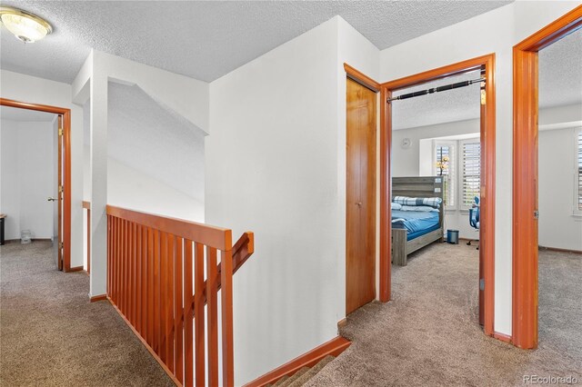 20410 Kelly Pl, Denver, CO 80249 - photo 14
