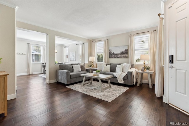 2857 Xanthia Ct, Denver, CO 80238 - living area with crown molding, dark wood finished floors, and baseboards