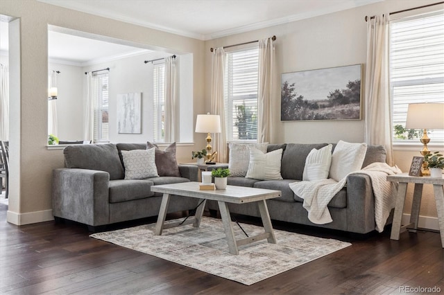 2857 Xanthia Ct, Denver, CO 80238 - living area featuring dark wood finished floors, plenty of natural light, crown molding, and baseboards