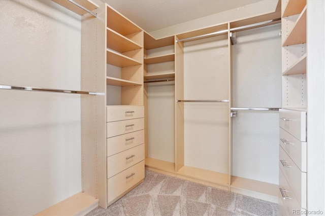 2857 Xanthia Ct, Denver, CO 80238 - spacious closet with light colored carpet