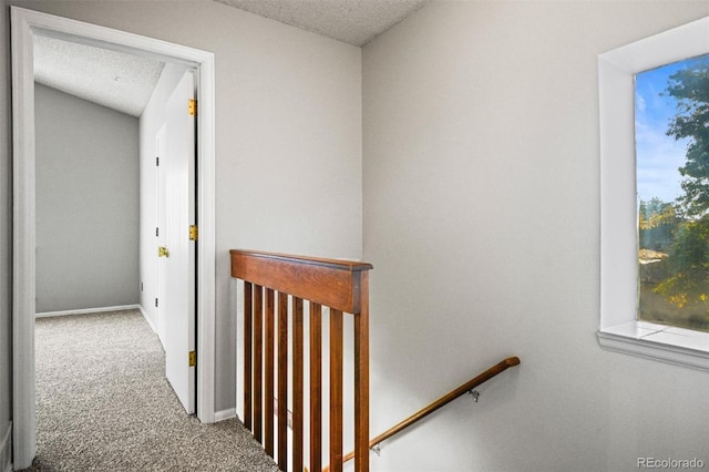 hall featuring carpet flooring and a textured ceiling