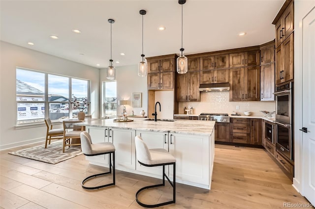 668 Leafy Aster Ln, Castle Rock, CO 80104 - kitchen with a sink, under cabinet range hood, appliances with stainless steel finishes, recessed lighting, and tasteful backsplash