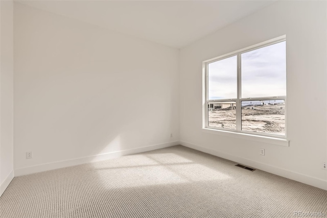 668 Leafy Aster Ln, Castle Rock, CO 80104 - empty room featuring light carpet and baseboards