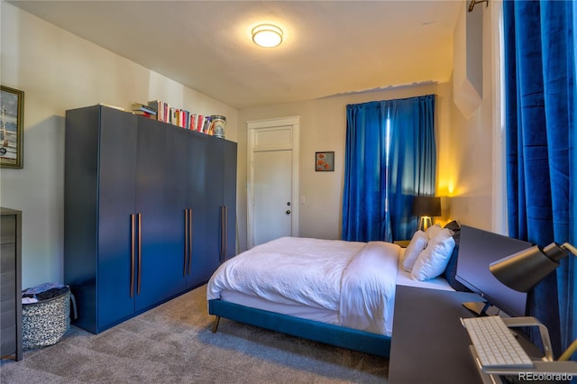 1739 E Martin Luther King Jr Blvd, Denver, CO 80205 - view of carpeted bedroom