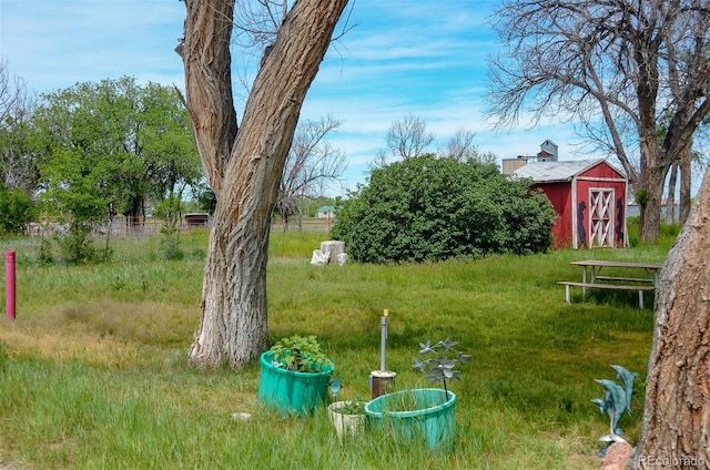 21064 Kelly St, Matheson, CO 80830 - view of yard with a shed