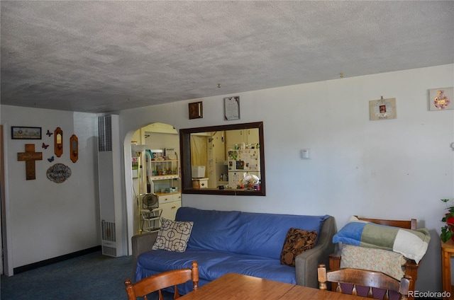 21064 Kelly St, Matheson, CO 80830 - living area with arched walkways, carpet floors, a heating unit, and a textured ceiling