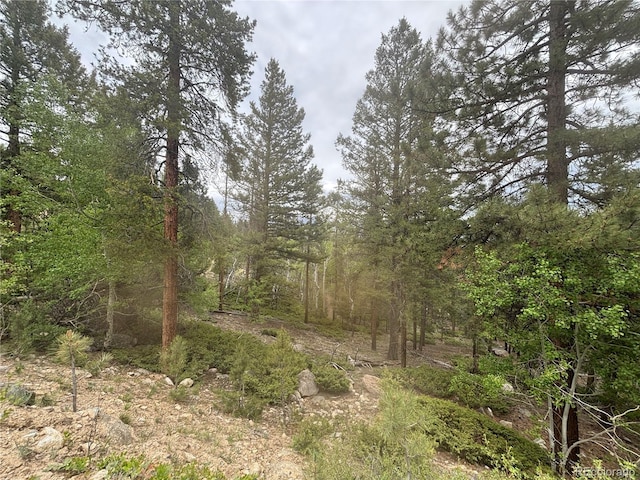 30304 Aspen Turn, Buena Vista, CO 81211
