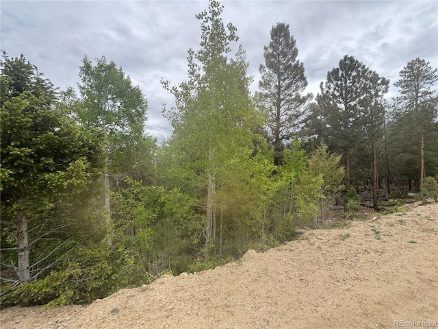 30304 Aspen Turn, Buena Vista, CO 81211