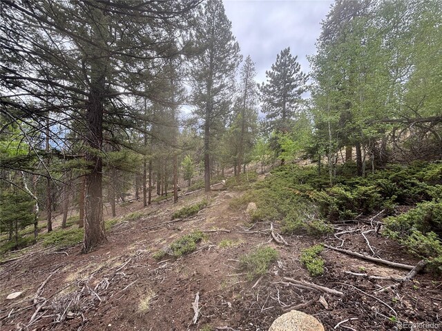 30304 Aspen Turn, Buena Vista, CO 81211