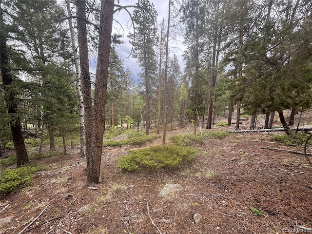 30304 Aspen Turn, Buena Vista, CO 81211
