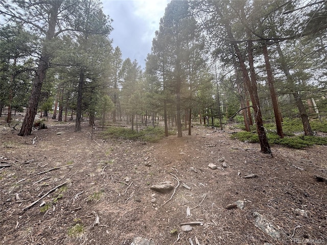 30304 Aspen Turn, Buena Vista, CO 81211