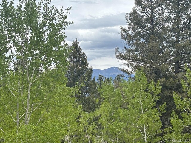 30304 Aspen Turn, Buena Vista, CO 81211