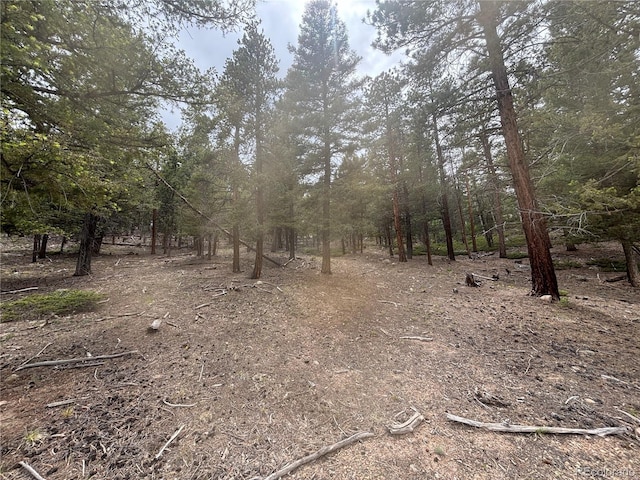 30304 Aspen Turn, Buena Vista, CO 81211