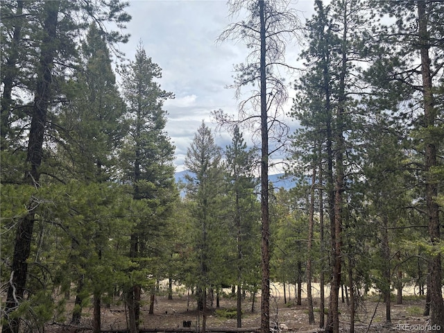 30304 Aspen Turn, Buena Vista, CO 81211