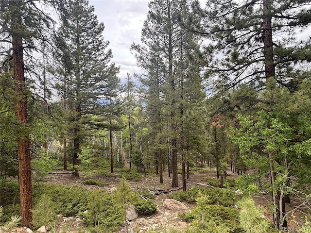 30304 Aspen Turn, Buena Vista, CO 81211