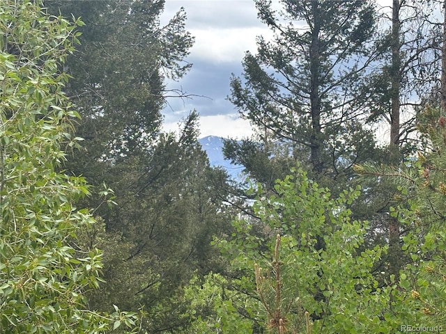 30304 Aspen Turn, Buena Vista, CO 81211