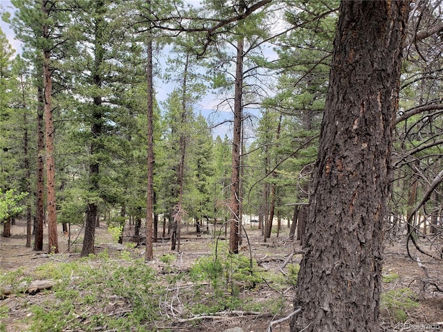 30304 Aspen Turn, Buena Vista, CO 81211