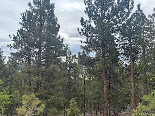 30304 Aspen Turn, Buena Vista, CO 81211
