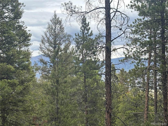 30304 Aspen Turn, Buena Vista, CO 81211