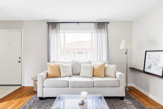 living room with baseboards and wood finished floors