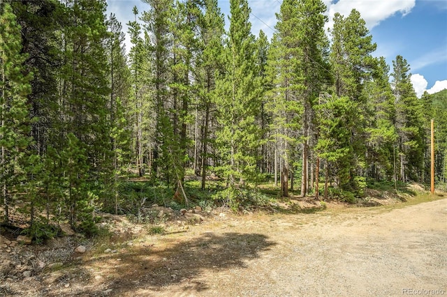 114 Elk Cir, Idaho Springs, CO 80452 - photo 2