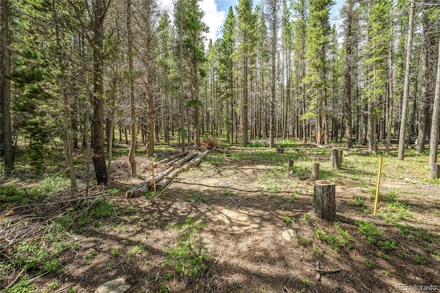 114 Elk Cir, Idaho Springs, CO 80452 - photo 3