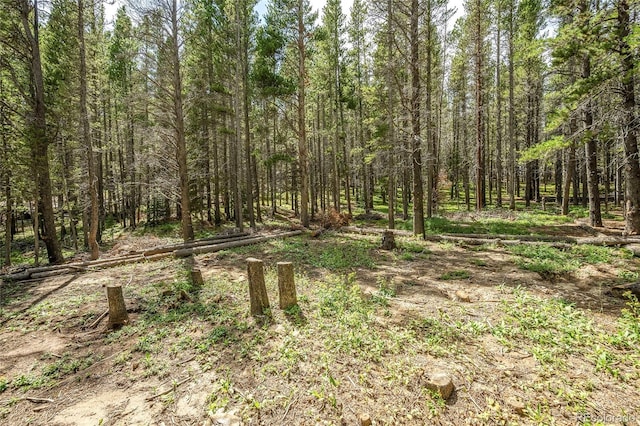 114 Elk Cir, Idaho Springs, CO 80452 - photo 4