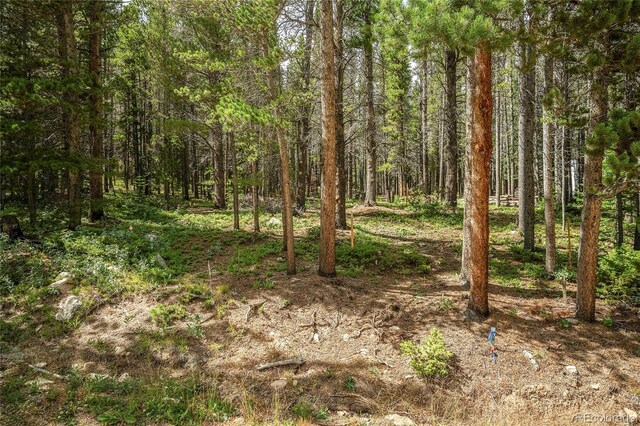 114 Elk Cir, Idaho Springs, CO 80452 - photo 6