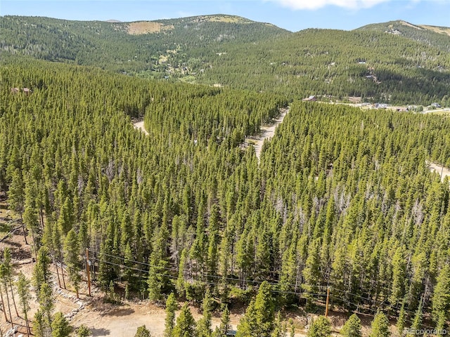 114 Elk Cir, Idaho Springs, CO 80452 - photo 7