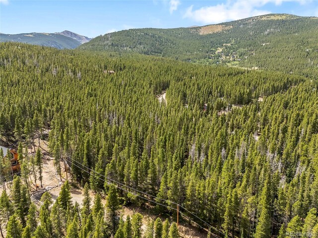 114 Elk Cir, Idaho Springs, CO 80452 - photo 8
