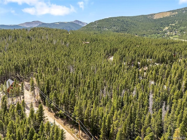 114 Elk Cir, Idaho Springs, CO 80452 - photo 9
