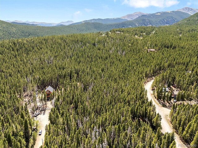 114 Elk Cir, Idaho Springs, CO 80452 - photo 10