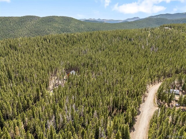 114 Elk Cir, Idaho Springs, CO 80452 - photo 11